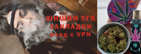 шишки Алексеевка