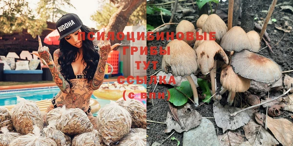 шишки Алексеевка