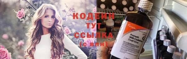 молекула духа Алзамай
